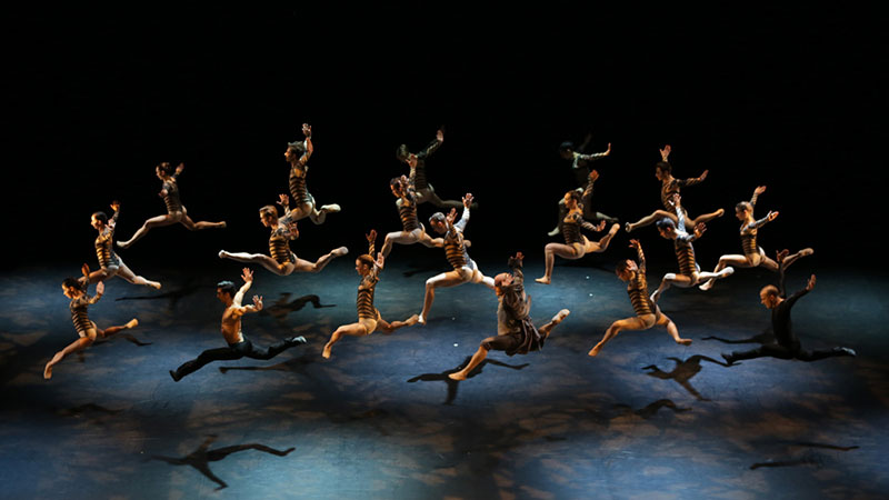 法国比亚里茨马朗丹芭蕾舞团《美女与野兽》